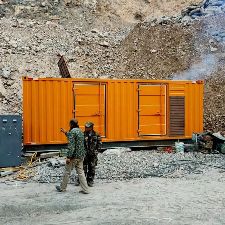 临高如何选择适合自己的 800KW 柴油发电机组？